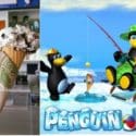 Penguino Holiday Break Back On 1st April