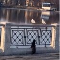 Seagull Poops On Curious Cat