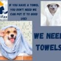 Doing A Pre Winter Clean Out Of Your Laundry Cupboard And Have Some Towels You No Longer Need?: Halifax Veterinary Centre