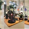 Forest Theme Going On At Living Light Candles Nelson