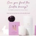 Can You Find The Easter Bunny? Living Light Candles Nelson