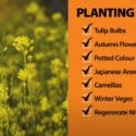 April Garden Checklist | Mitre 10 Easy As Garden