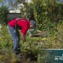 Gardening In April | New Zealand | Bunnings Garden Diary