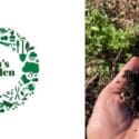 Live Composting Worms Can Be Purchased In-store: Tim’s Garden