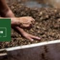 Composting For Beginners: Tim’s Garden