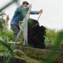 How To Grow Garlic | Simple Steps For HUGE Yields