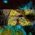 Sanctuary Glowworm Tours Are Back At The Brook