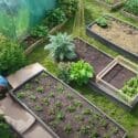 Make Compost From Your Garden Pathways | No Compost Bins Needed!