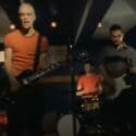 Zed – Glorafilia