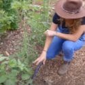 Don’t Bother Growing Tomatoes Any Other Way! This Trellis System Is The BEST And CHEAP.
