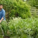 Why I Stopped Weeding The Garden | The BEST Weed Control Tip