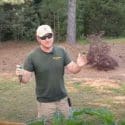 Prune Zucchini And Squash Plants For MAXIMUM Production| Promotes New Growth And Prevents Disease