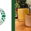 New Pots Arrived In-store: Tim’s Garden