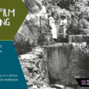 Heritage Tour – Uncover The Secret History Of The Brook Waimārama Sanctuary