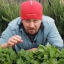 6 Benefits Of Hydrogen Peroxide On Plants And In Your Garden