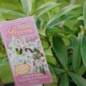 Gardening In July | NZ South Island | Bunnings Garden Diary