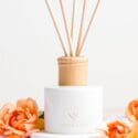 Reed Diffusers At Living Light Candles