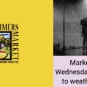 Nelson Farmers Maket Closed On Wednesday 17 Aug