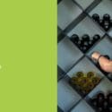 Celebrate Pinot Noir Day On 18 August!: Wine Nelson