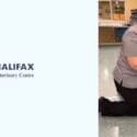 Welcoming Dr Phillipa Bagnall To The Halifax Vet Team
