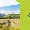 Proud To Be Recognised As A Figured Platinum Partner: WK Strawbridge Advisors And Accountants