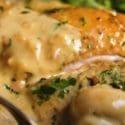 Chicken Fricassee – Quick French Chicken Stew