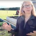 Vegetable Garden Vlog August 2022