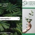 Naturopathy Is A Holistic Medical Approach: Hoffman Natural Health