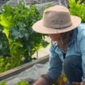 How To Get The Most Success From Your Spring Gardening | Gardening 101 | Gardening Australia