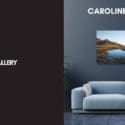 Look What Just Arrived: : Parker Gallery