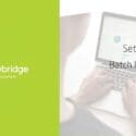 WK How To: Set Up A Batch Payment In @xero