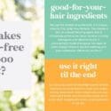 Ever Wondered What Our “soap-free” Shampoo Is All About: Global Soap