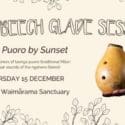 Introducing The Beech Glade Sessions!: The Brook Waimārama Sanctuary
