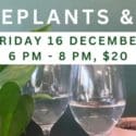 Houseplants & Wine At Tim’s Garden