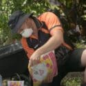 How To Grow Spring Bulbs | Mitre 10 Easy As Garden