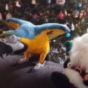 You Will LAUGH Your LUNGS Out – World’s Funniest Christmas Videos