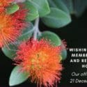 Cheers To The New Year: Nelson Tasman Chamber Of Commerce