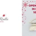 Open Saturdays In December: Jewel Beetle