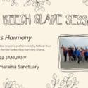 The Beech Glade Sessions – Nelson Bays Harmony At The Brook Waimārama Sanctuary