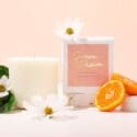 How Can We All Be More Sustainable This Year?: Living Light Candles Nelson
