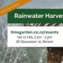 Are You Ready For A Happier, Healthier Summer Garden?: Tim’s Garden