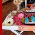 Our New Shoe Of The Week Is Here!: Mariposa Clothing Soul Footwear