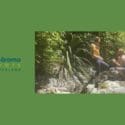 The Brook Waimārama Sanctuary Is A Very Special Place Where Special Things Happen All The Time!