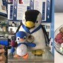 Are You Coming For A Visit????: Penguino Ice Cream Cafe