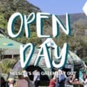 Nelson’s Big Green Day Out Is Happening This Sunday!