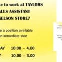 Are You Passionate About Shoes And Fashion? : Taylors We Love Shoes