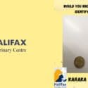 Would You Know How To Identity A Karaka Berry Tree?: Halifax Veterinary Centre