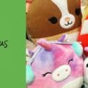 Squishmallows In Store Now: Paper Plus Nelson