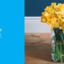 Daffodils,and Jonquils Are The Traditional Birth Flower For March: Simplicity Funerals, Nelson
