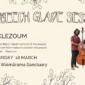 The Beech Glade Sessions – Klezoum: The Brook Waimārama Sanctuary